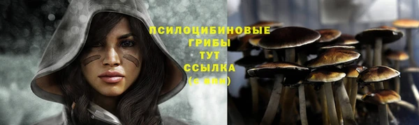 бутират Верхний Тагил