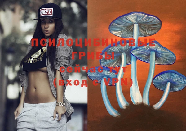 индика Бронницы
