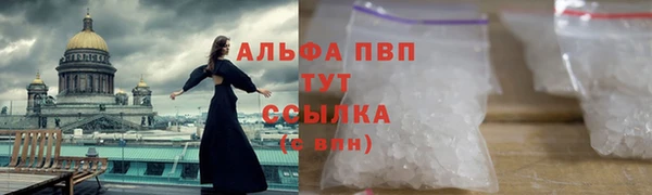 ПСИЛОЦИБИНОВЫЕ ГРИБЫ Верхнеуральск
