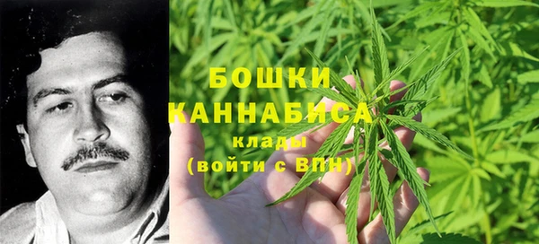 гашик Бородино