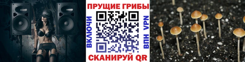 Псилоцибиновые грибы прущие грибы  как найти наркотики  Карабаново 